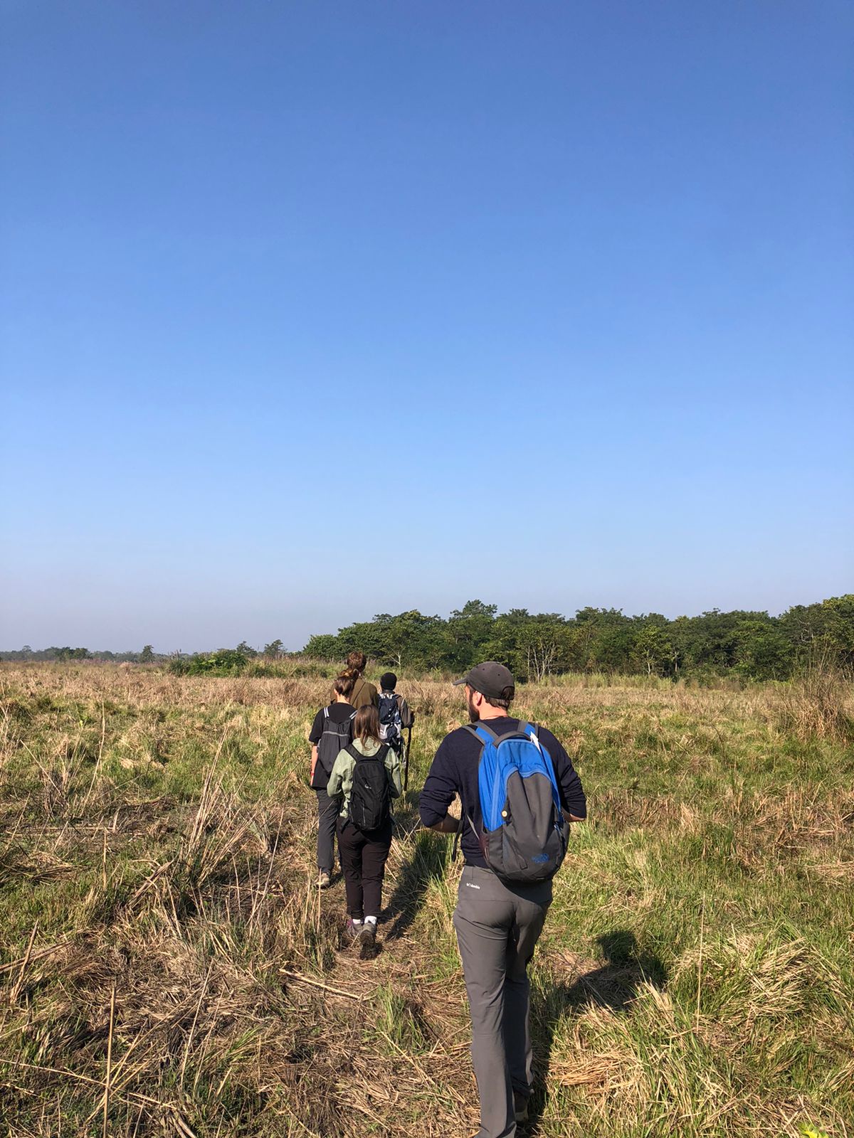 Jungle Trekking