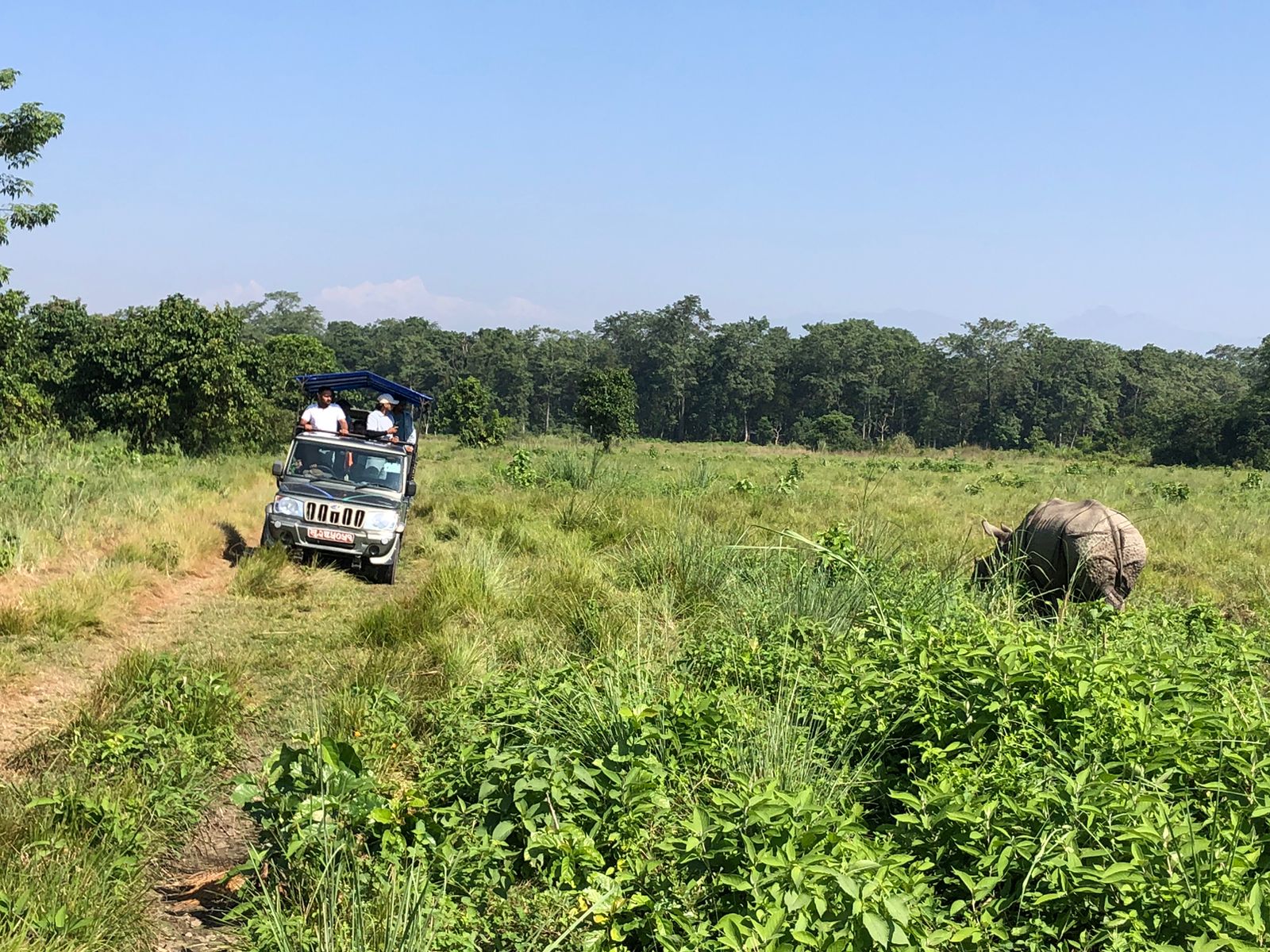 Jeep Safari